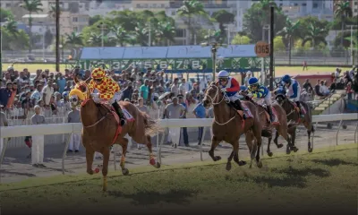 Hippisme - journée inaugurale : Juniper Lane a les cartes en main 