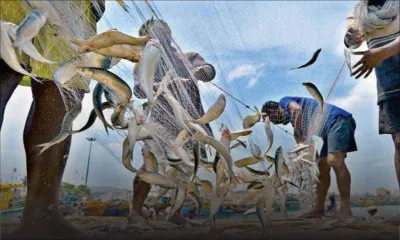 Measures to prohibit catching juvenile fish