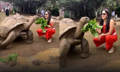 Bollywood : l'actrice Kiara Advani en vacances à Maurice et nourrit une tortue