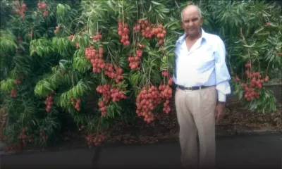 Meurtre de Deonarain Koonjul : un chauffeur de taxi arrêté 