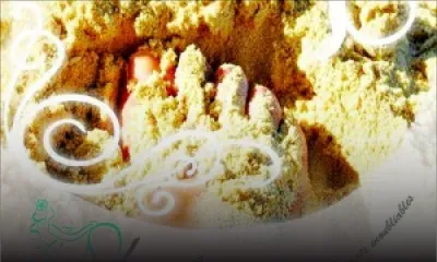 Geneviève Dardanne: A woman’s will power