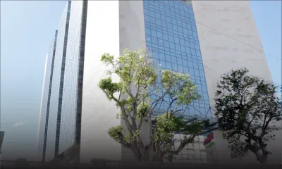 Pétition électorale au No 19 (Stanley/Rose-Hill) : la motion de Jenny Adebiro rejetée