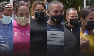 Blanchiment d’argent : la famille Legentil utiliserait son élevage de bœufs comme paravent