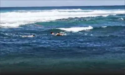 Roches-Noires : trois jeunes sur leur planche à surf font fi des consignes