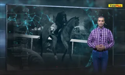 La Minute Techno - Une nouvelle application pour les turfistes