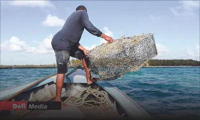 Soupçons d’irrégularités, abus de pouvoir présumé… : malaise au ministère de l’Économie Bleue et de la Pêche 