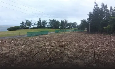 Projet d’aménagement des plages La Prairie : 62 arbres abattus, 260 autres seront mis en terre