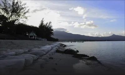 La Preneuse : l’abattage de filaos suscite l’indignation