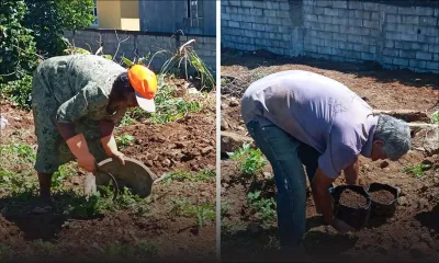 Journée internationale de la Terre : quand le confinement nous renvoie vers la terre nourricière