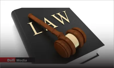 Council for vocational legal education : Les avocats, avoués et notaires ayant réussi aux examens