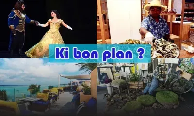 Découvrez les bons plans du week-end (15-16 juin 2019)