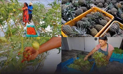 L'histoire inspirante de Mayeven et Sheila Poinen : de l'agriculture traditionnelle au futur