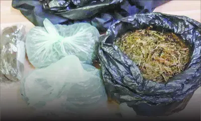 Saisie de Rs 18 M de cannabis chez le commando Beauger à Pointe-aux-Sables : le patron « Gro Brayen » trahi par des images de caméras de surveillance