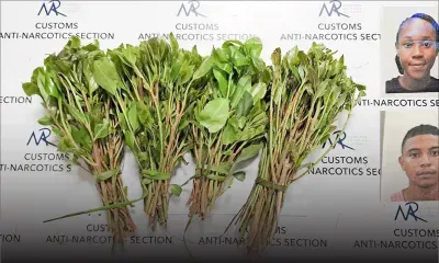 À l’aéroport de Plaisance : une passeuse malgache et son contact local écroués pour importation de khat