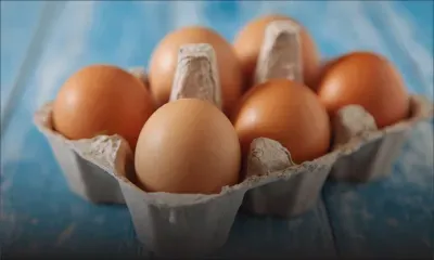 Indisponibilité des œufs dans des commerces : Dorine Chukowry met en cause le «panic buying» et la presse