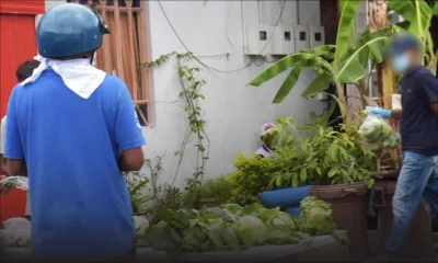 Vallée-des-Prêtres : les marchés étant fermés, des Mauriciens s'approvisionnent en légumes dans la rue 
