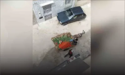 Et si cette photo pouvait bien nous inspirer en temps de confinement !