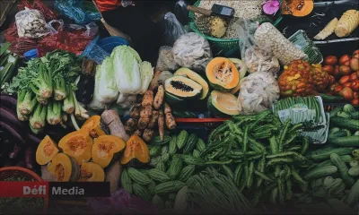 Prix des légumes : gare aux prochaines pluies diluviennes