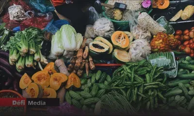 Tendance à la baisse : le prix de la pomme d’amour descend à Rs 50 