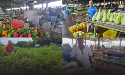 Post-cyclone Freddy : après le mauvais temps, l’éternel recommencement 