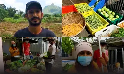 Vente de légumes par temps de confinement : quand les prix jouent au yoyo…