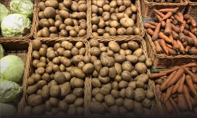 Post-Batsirai : Importation de plusieurs tonnes de légumes pour éviter toute pénurie sur le marché