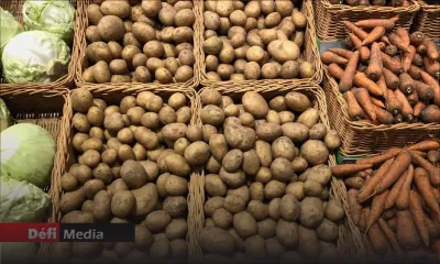 Post-Batsirai : Importation de plusieurs tonnes de légumes par l’AMB