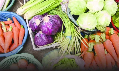 Consommation : les prix des légumes resteront abordables jusqu’à octobre/novembre 