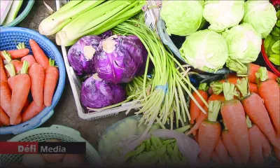 Manque de légumes sur le marché : choux, carottes et haricots importés par l’AMB