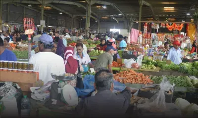 En raison de l’hiver : les prix des légumes chutent de 15 à 60 %