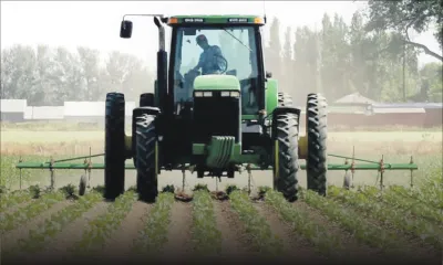 54 728 tonnes de légumes produits en six mois 