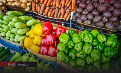 Hausse du prix des légumes dans les grandes surfaces : à quand la réglementation ?
