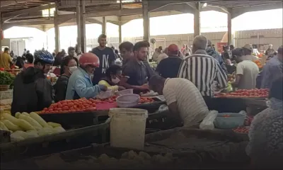 Légumes : vers des prix plus élevés  