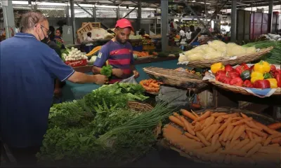 Consommation - Carottes, pommes d’amour, haricots verts… : valse de prix à la hausse