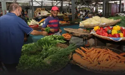 Légumes : des baisses de prix générales, mais certains restent toujours rares et chères