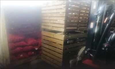 172 500 kg de légumes livrés ce vendredi
