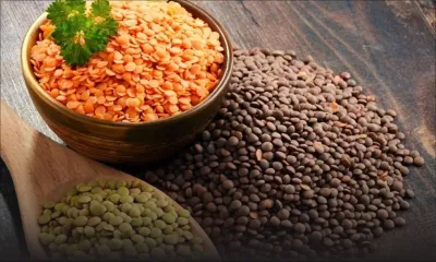 Grains secs : certains importateurs mettent un frein à la distribution