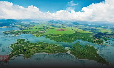 Les restes d’un cachalot découverts au large de la côte nord-est de l’île Maurice
