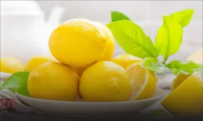 Embargo sur le limon rodriguais : cela doit être vu comme une opportunité, explique Richard Payendee