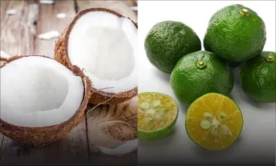 Cavadee et Maha Shivaratri : 10 000  noix de coco et 55 000 limons seront importés