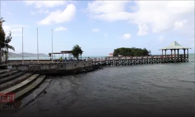 Mahébourg : un poissonnier verbalisé pour la vente de «Cornes» perforés