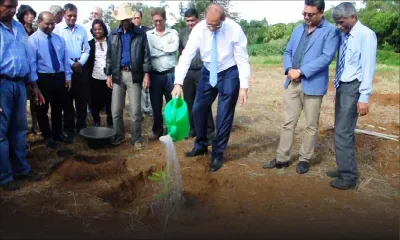 Mahen Seeruttun sur la culture de macadamia : «Pourquoi pas un pilier de notre économie ? » 