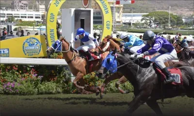 Hippisme- Première course : l’inattendu Cool Water reprend Italian Way