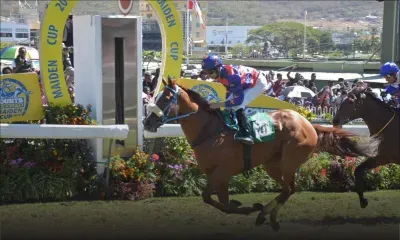 Hippisme - 4e course: Consul of War offre une première à Randall Simons