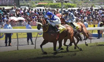 Hippisme - 3e course: Promisory trop fort pour les B36