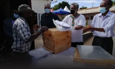 Bétails de Rodrigues : Le prix d’achat passe de Rs 85 à 105 le kilo