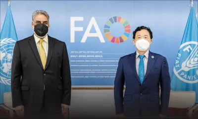 Manque de vétérinaires : L’aide de la FAO sollicitée