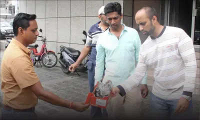 [Vidéo] Des enseignants brûlent le rapport PRB