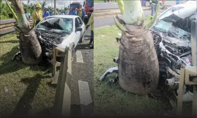 À Mapou : un homme de 29 ans et son beau-fils, 5 ans, tués dans un accident
