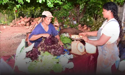 Post-Eleanor - légumes : hausse de 20% à 25% sur les prix d’ici une semaine